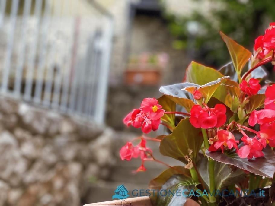 Casa Con Ampio Giardino In Centro La Taverna Villa Itri Ngoại thất bức ảnh